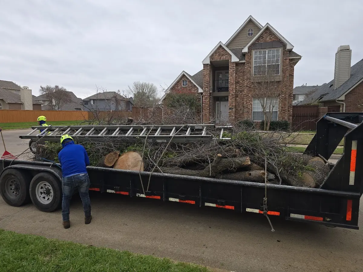 Expert Tree Fertilization with proper safety equipment in Walker